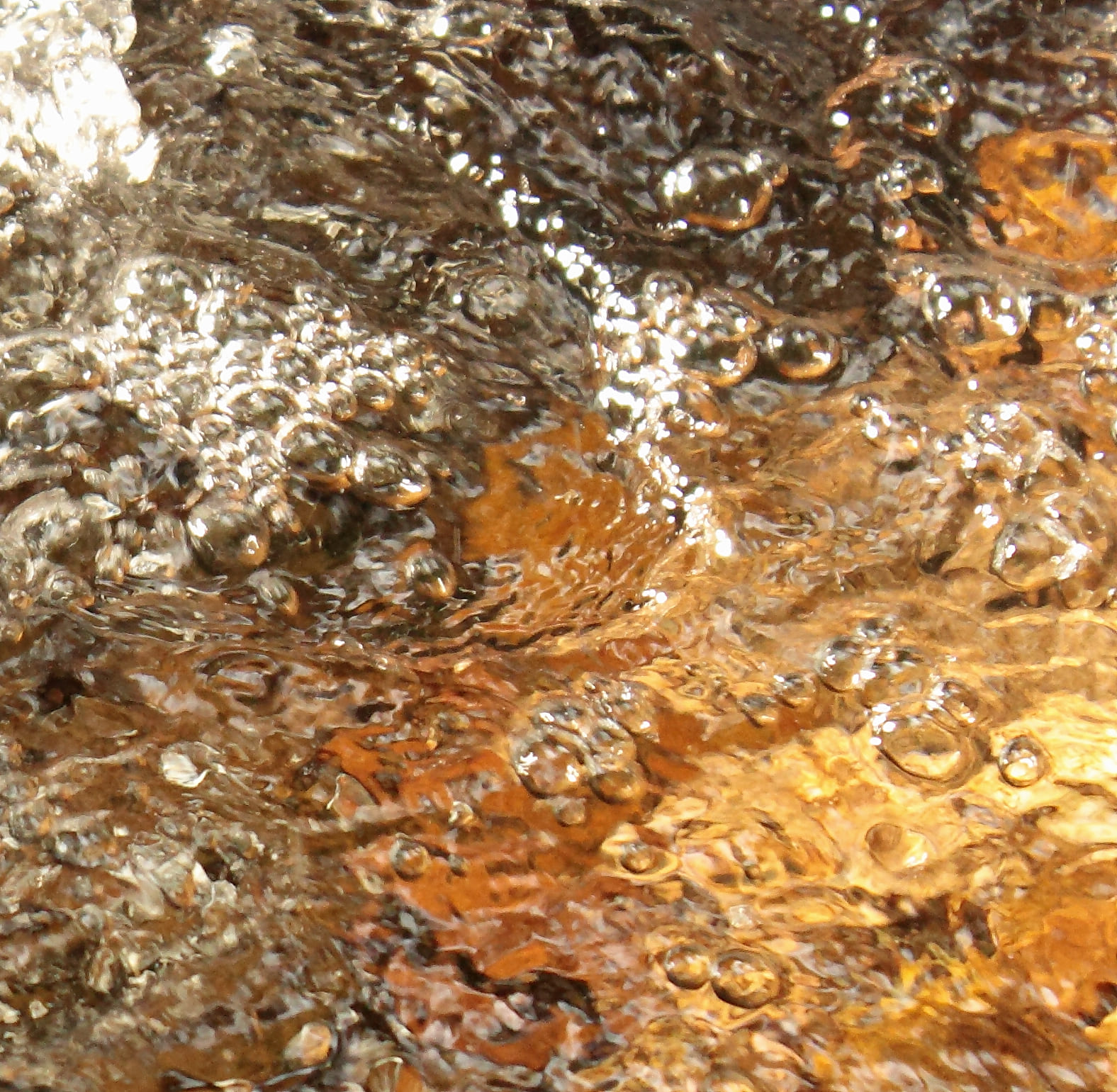 exposition lionel lanoix les arts du vivant festival bassens